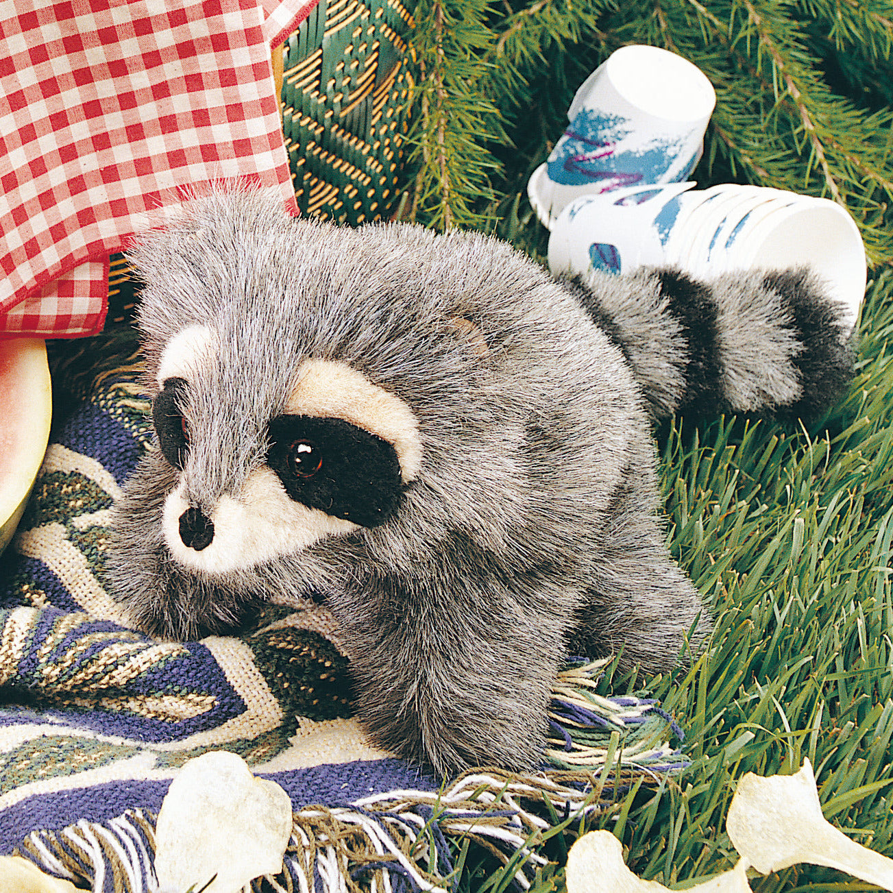 アライグマの赤ちゃん パペット